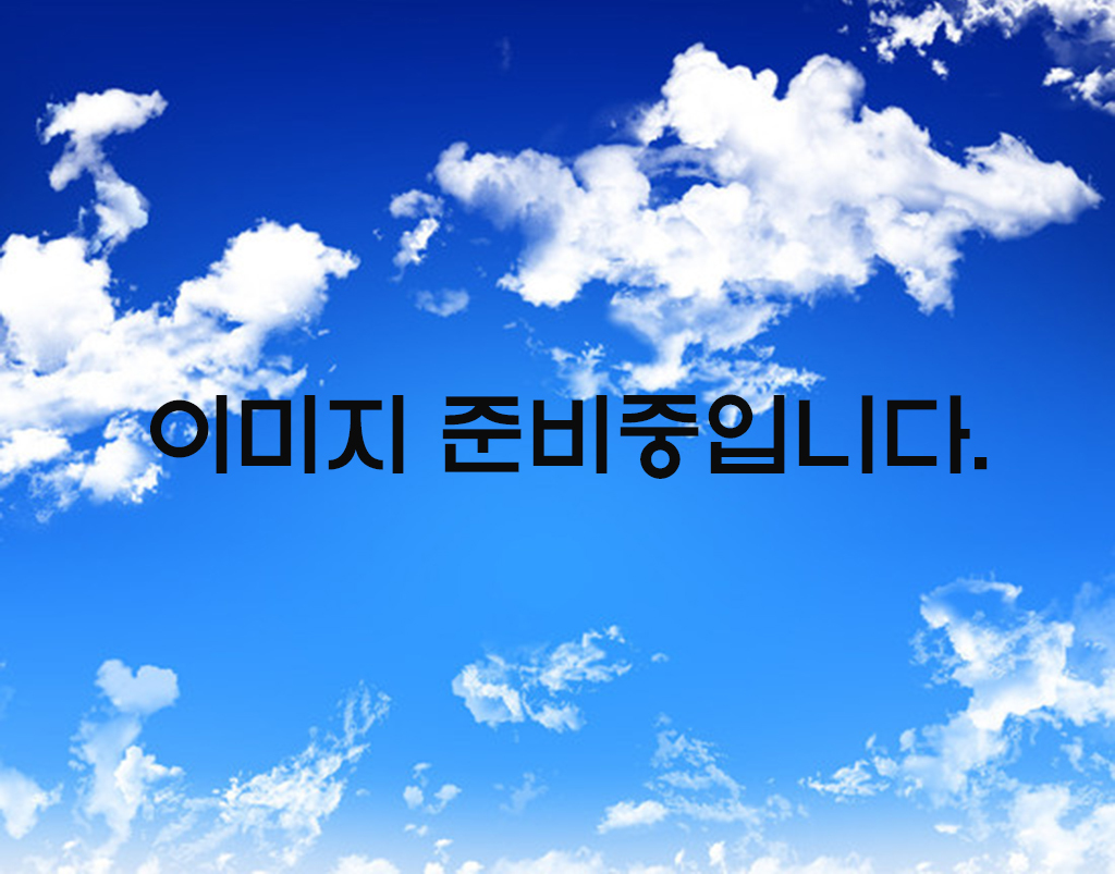 도면